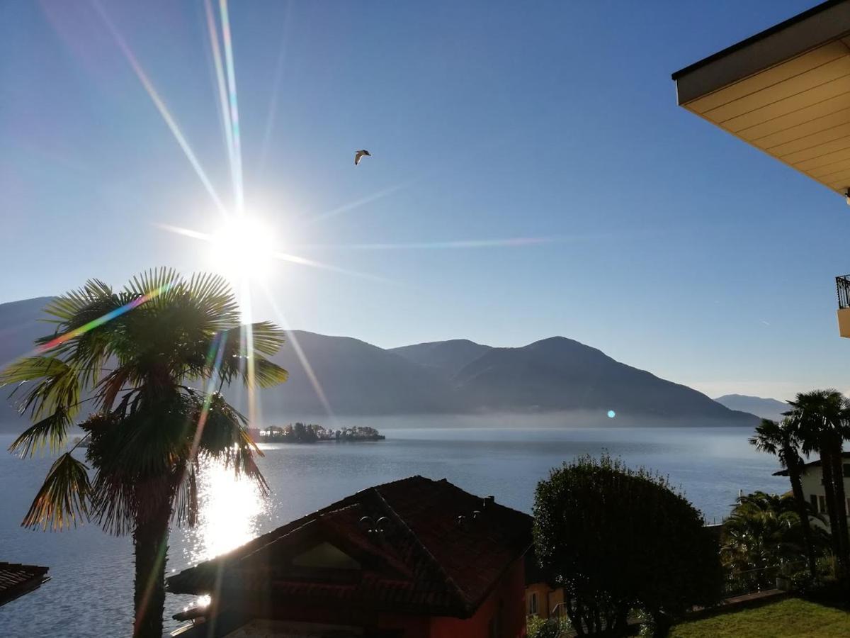Casa Eva Lägenhet Ronco sopra Ascona Exteriör bild