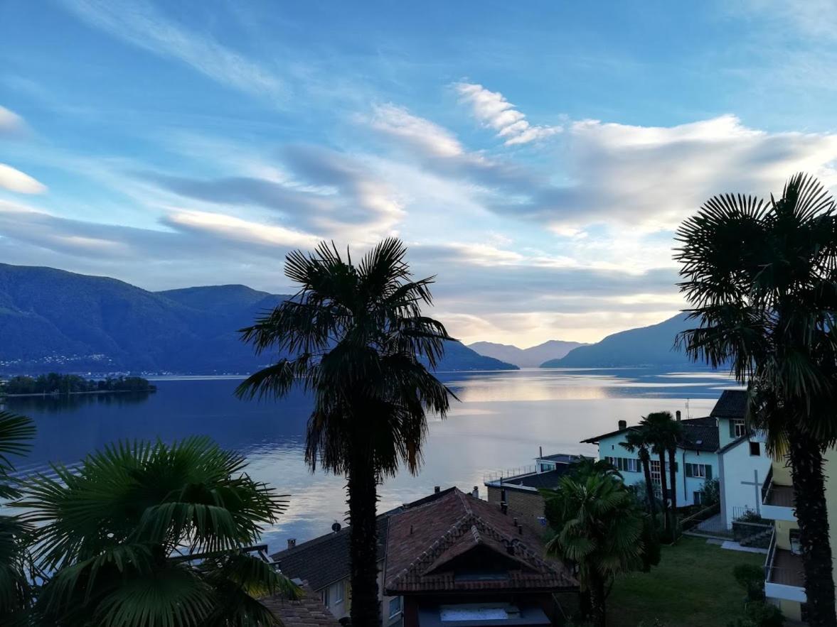 Casa Eva Lägenhet Ronco sopra Ascona Exteriör bild
