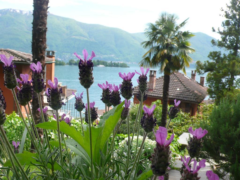 Casa Eva Lägenhet Ronco sopra Ascona Exteriör bild